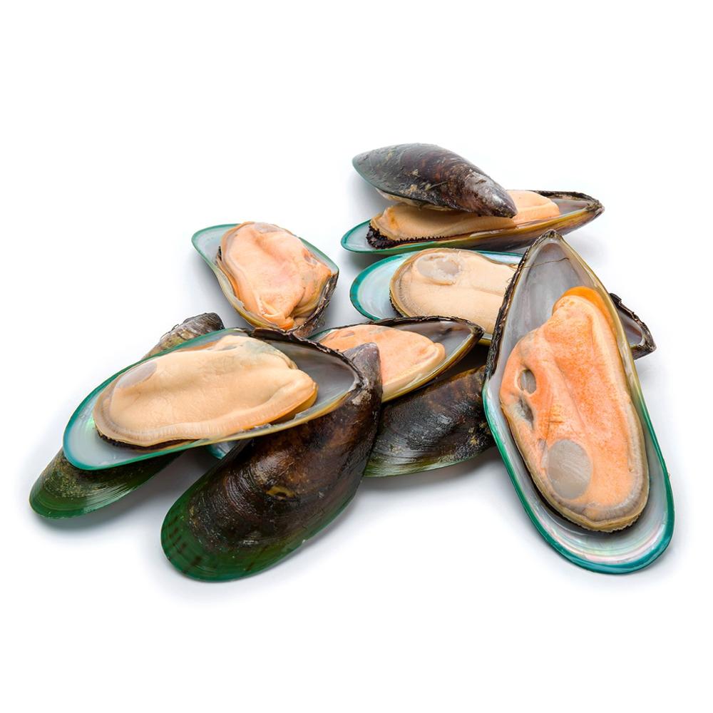 Mussels Half Shell 30 By 40 - 1KG