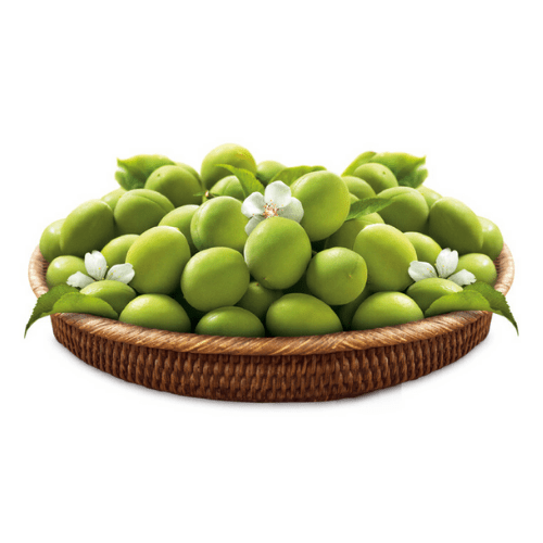 매실농축시럽 CJ - 1.025KG 백설 조미료 Singarea Online Asian Supermarket UAE