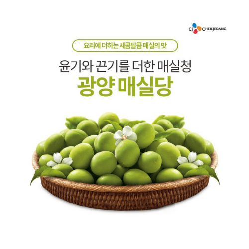 매실시럽 - 1.2KG 백설 조미료 Singarea Online Asian Supermarket UAE