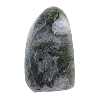 해초 메생기 - 100G