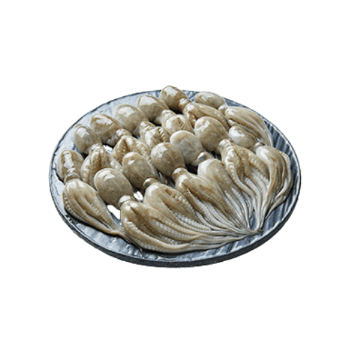 Webfoot Octopus - 1KG (31-Jan-22) Purensusan Seafood Singarea Online Asian Supermarket UAE